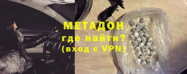 прущие грибы Алзамай