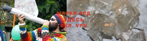 прущие грибы Алзамай
