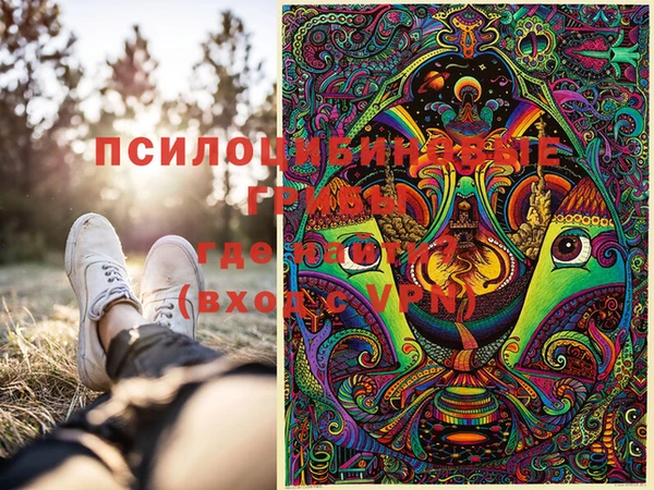 прущие грибы Алзамай