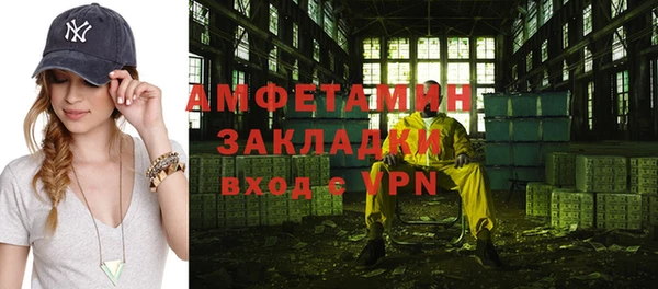 прущие грибы Алзамай