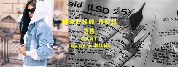 прущие грибы Алзамай