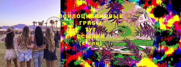 прущие грибы Алзамай