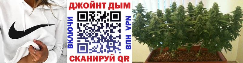 Конопля семена купить наркоту Талдом
